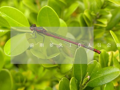 逾期多久工作人员会催款 逾期多久工作人员会催款