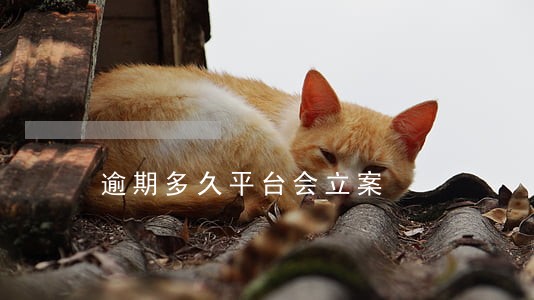 逾期多久平台会立案 逾期多久平台会立案