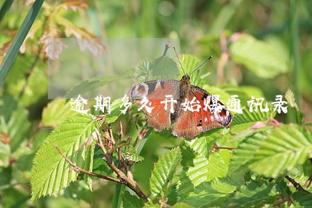 逾期多久开始爆通讯录 逾期多久开始爆通讯录