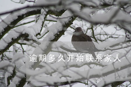 逾期多久开始联系家人 逾期多久开始联系家人