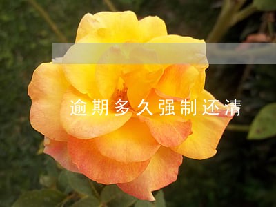 逾期多久强制还清