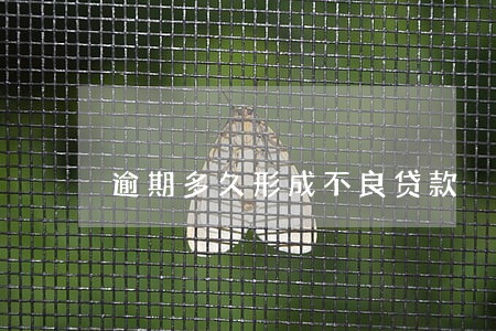 逾期多久形成不良贷款 逾期多久形成不良贷款