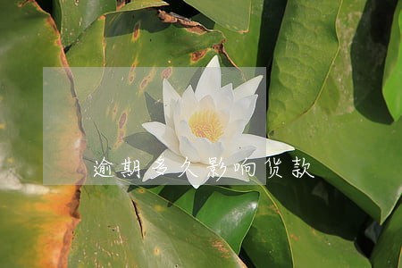 逾期多久影响货款