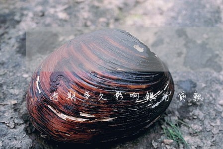 逾期多久影响银行贷款 逾期多久影响银行贷款