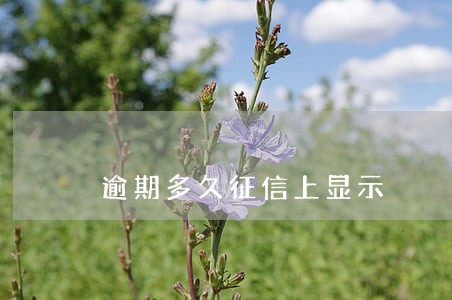 逾期多久征信上显示 逾期多久征信上显示