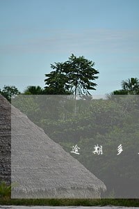 逾期多久征信上有显示 逾期多久征信上有显示