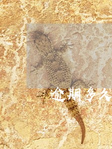 逾期多久征信不良 逾期多久征信不良