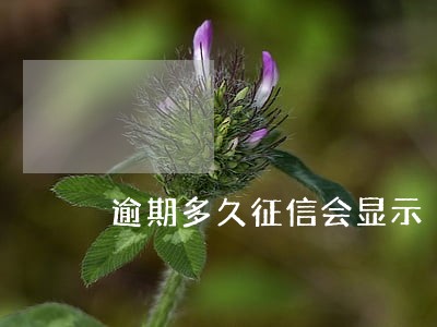 逾期多久征信会显示