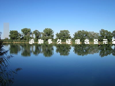 逾期多久征信会显示呆账 逾期多久征信会显示呆账