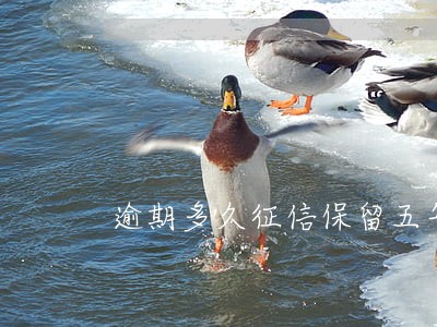 逾期多久征信保留五年 逾期多久征信保留五年