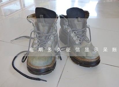 逾期多久征信显示呆账 逾期多久征信显示呆账