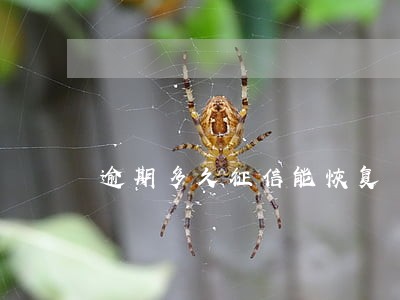 逾期多久征信能恢复 逾期多久征信能恢复
