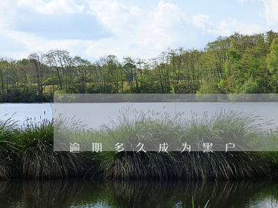 逾期多久成为黑户 逾期多久成为黑户