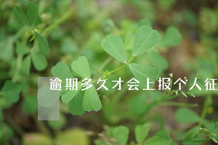 逾期多久才会上报个人征信 逾期多久才会上报个人征信