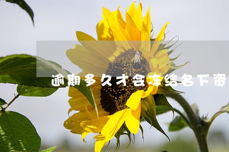 逾期多久才会冻结名下资产 逾期多久才会冻结名下资产