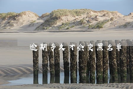 逾期多久才会变黑名单 逾期多久才会变黑名单