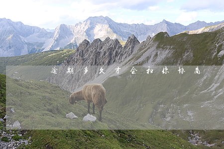 逾期多久才会和你协商 逾期多久才会和你协商