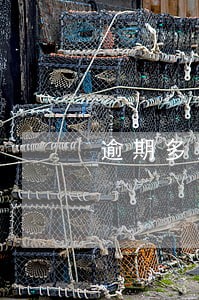 逾期多久才会终止合同 逾期多久才会终止合同