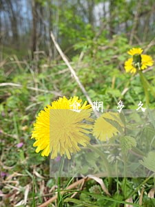 逾期多久才会联系亲戚朋友 逾期多久才会联系亲戚朋友
