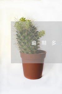 逾期多久才会被成为黑户 逾期多久才会被成为黑户