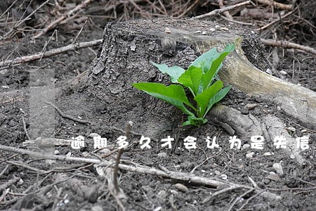 逾期多久才会认为是失信人 逾期多久才会认为是失信人