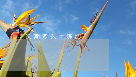 逾期多久才冻结 逾期多久才冻结