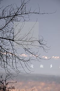 逾期多久才可以消除 逾期多久才可以消除