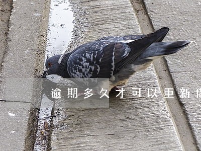 逾期多久才可以重新借钱 逾期多久才可以重新借钱