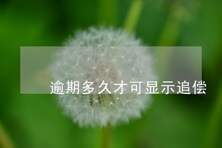 逾期多久才可显示追偿 逾期多久才可显示追偿