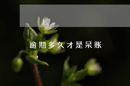 逾期多久才是呆账