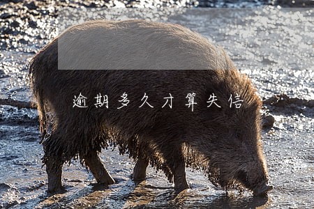 逾期多久才算失信 逾期多久才算失信