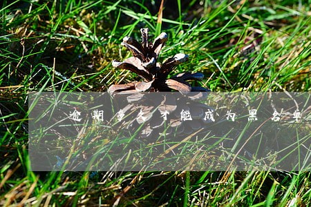 逾期多久才能成为黑名单