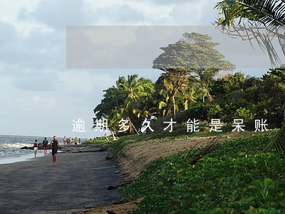 逾期多久才能是呆账 逾期多久才能是呆账