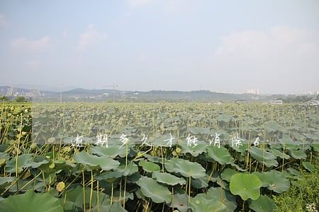 逾期多久才能消除6 逾期多久才能消除6