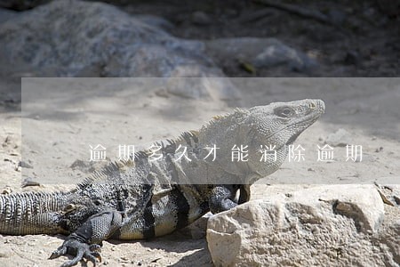逾期多久才能消除逾期 逾期多久才能消除逾期