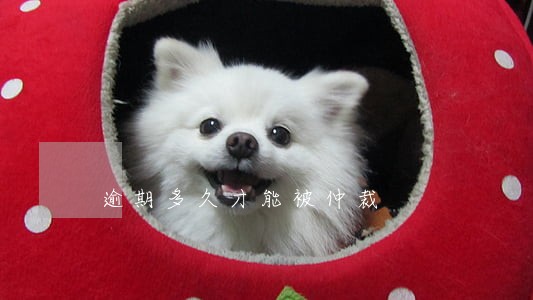 逾期多久才能被仲裁 逾期多久才能被仲裁