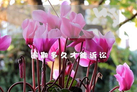逾期多久才能诉讼 逾期多久才能诉讼
