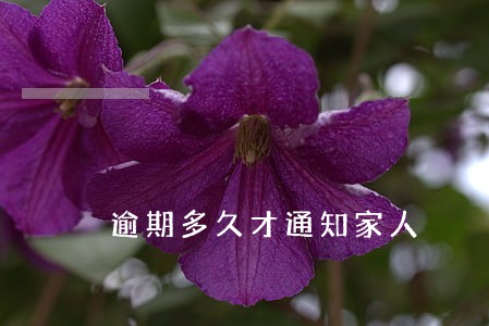 逾期多久才通知家人 逾期多久才通知家人