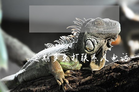 逾期多久打联系人电话 逾期多久打联系人电话