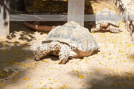 逾期多久扣3分罚款 逾期多久扣3分罚款