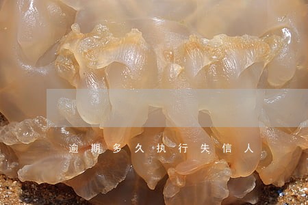 逾期多久执行失信人