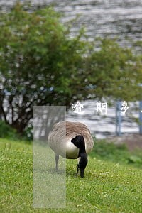 逾期多久担保公司会帮还吗 逾期多久担保公司会帮还吗