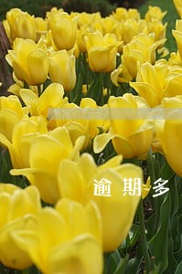 逾期多久掉芝麻分 逾期多久掉芝麻分