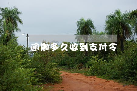 逾期多久收到支付令 逾期多久收到支付令