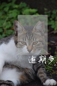 逾期多久收到法律传票 逾期多久收到法律传票