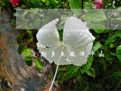 逾期多久收律师函 逾期多久收律师函