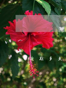 逾期多久收律师涵 逾期多久收律师涵