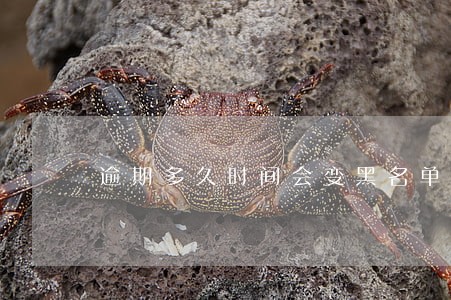 逾期多久时间会变黑名单的 逾期多久时间会变黑名单的