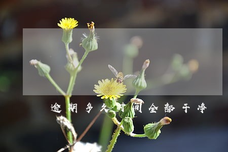 逾期多久时间全部干净 逾期多久时间全部干净
