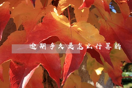 逾期多久是怎么计算的 逾期多久是怎么计算的
